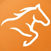 Horse Racing Game logo